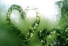 美金杯比分怎么看？最新赛况与解读全在这里